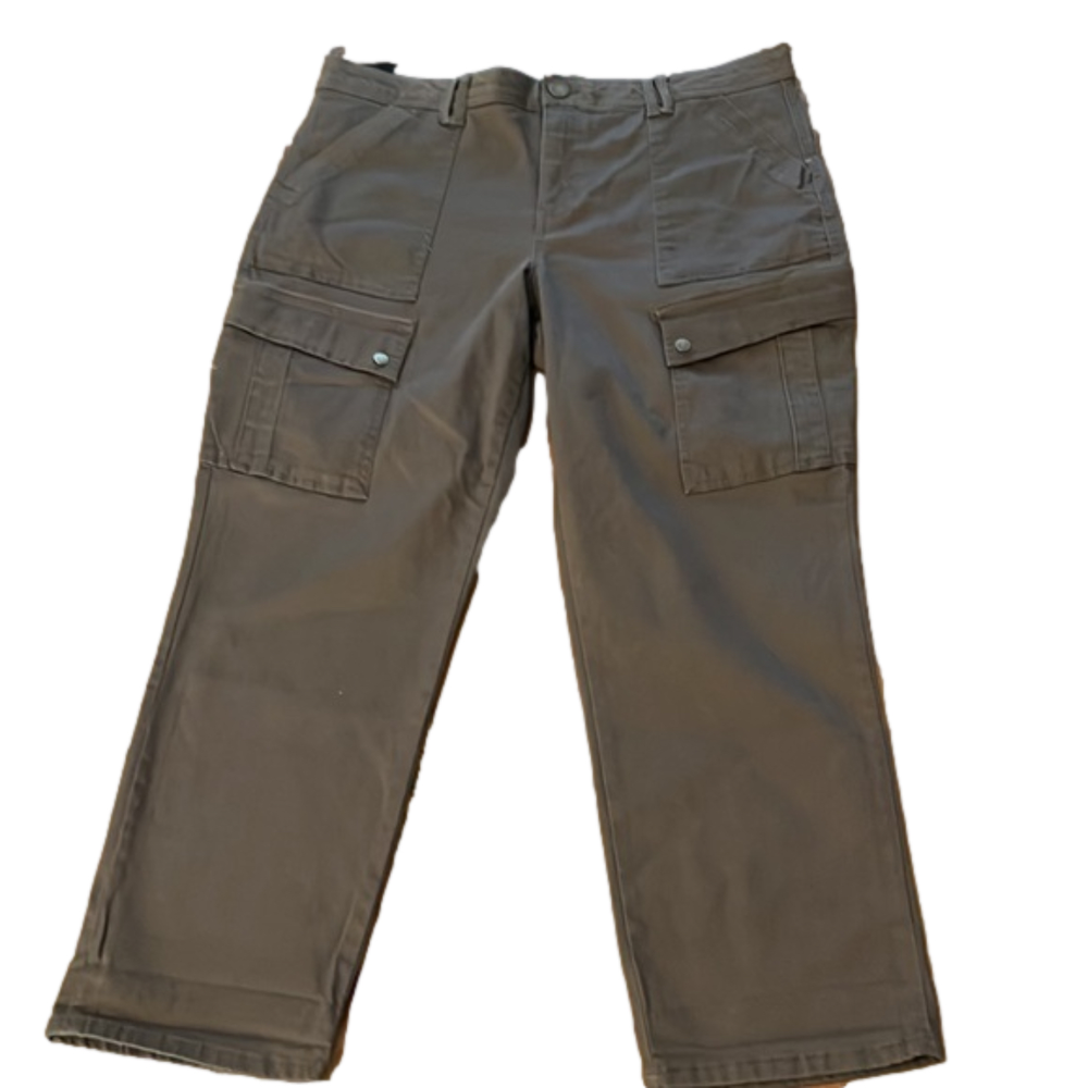 Democracy Ab solution, brown cargo pants